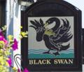 Black Swan Inn Culgaith logo