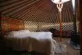 Blackdown Yurts image 3