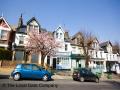 Blackheath Veterinary Surgery image 2