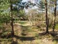 Blackhills Scout Campsite image 7