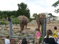 Blackpool Zoo image 2