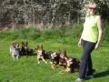 Blackthorn Dog Training image 3