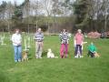 Blackthorn Dog Training image 8