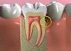 Blairgowrie Dental Care image 4