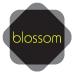 Blossom Marketing logo