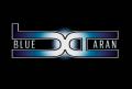 Blue Aran Limited logo