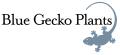 Blue Gecko Plants logo