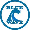 Blue Wave Guitar Tuition logo