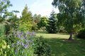 Bluebell Arboretum and Nursery image 10