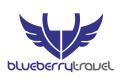 Blueberry Design logo