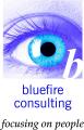 Bluefire Consultants - Recruitment & Employment Agency in Liverpool, Merseyside image 2