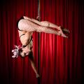 Blush Dance - Pole, Burlesque, Street Dance School image 10