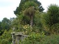Bodnant Gardens image 3