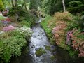 Bodnant Gardens image 4