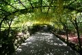 Bodnant Gardens image 7