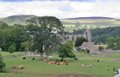 Bolton Abbey image 10