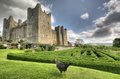 Bolton Castle image 5