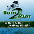 Born to Run Pet Care image 3