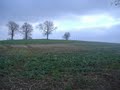 Bosworth Battlefield image 1