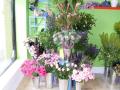 Bournemouth Florist - Flowers at 166 image 1