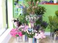 Bournemouth Florist - Flowers at 166 logo