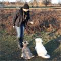 Bow Wow Meow -Dog Walking and Cat Feeding Teddington Richmond Hampton Twickenham image 2