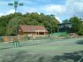 Bracknell Lawn Tennis Club image 2