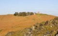 Bradgate Park & Swithland Wood Country Park image 2