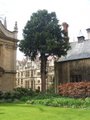 Brasenose College image 2