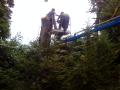 Brett Nicol Tree Surgeons & Landscapers image 2