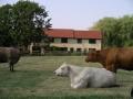 Brick House Farm image 1