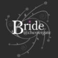 Bride@Chestergate image 4