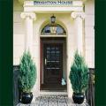 Brighton House image 7