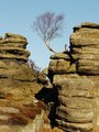 Brimham Rocks image 4