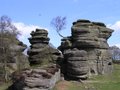 Brimham Rocks image 7