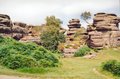 Brimham Rocks image 9