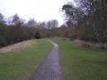 Brockhill Country Park image 3
