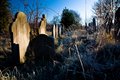 Brockley & Ladywell Cemetery image 4