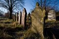 Brockley & Ladywell Cemetery image 1