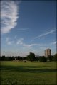 Brockwell Park image 6