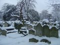 Brompton Cemetery image 2