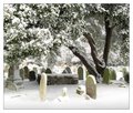 Brompton Cemetery image 4