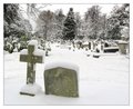 Brompton Cemetery image 6