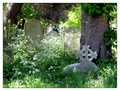 Brompton Cemetery logo