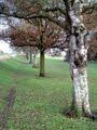 Broomhill Park image 4