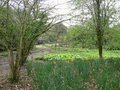 Bryngarw Country Park image 5