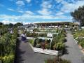 Buckingham Nurseries & Garden Centre image 2