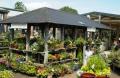 Buckingham Nurseries & Garden Centre image 4