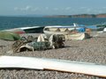 Budleigh Salterton image 4