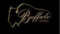 Buffalo Lounge Gentlemens Club logo